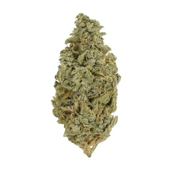 Orange Cookies | CannaBlossom Canada