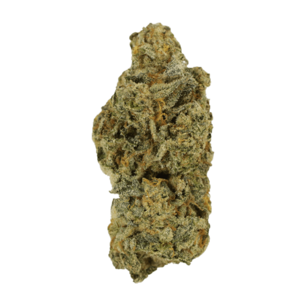 Cinderella 99 | CannaBlossom Canada