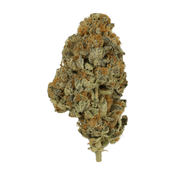 Key Lime Pie | CannaBlossom Canada