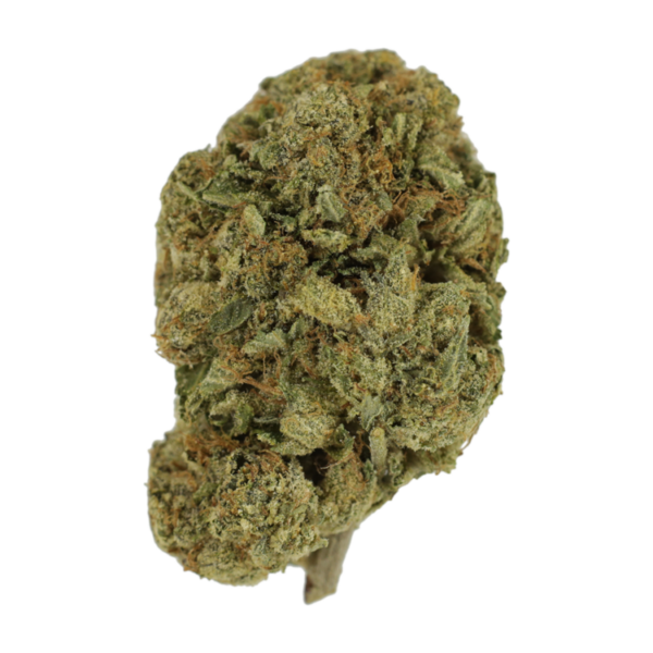 Grape Ape (AAA) | CannaBlossom Canada