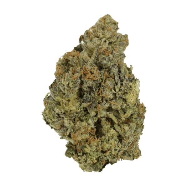 Lady Bird | CannaBlossom Canada