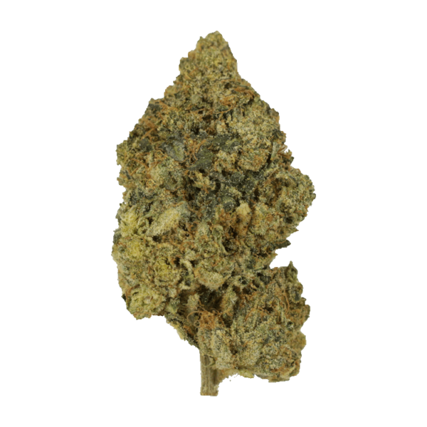 Lemon Kush | CannaBlossom Canada