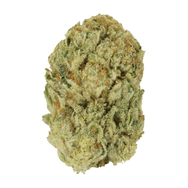 Trap Star | CannaBlossom Canada