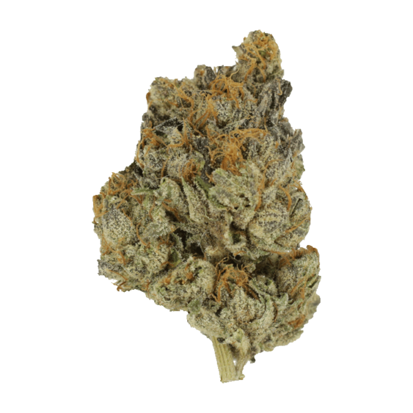 Divorce Cake | CannaBlossom Canada
