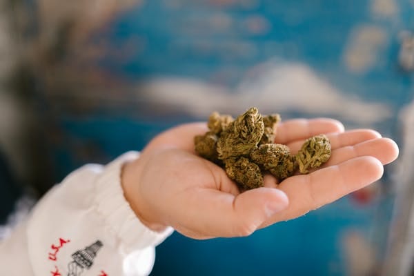 Buy cannabis Online Nunavut | CannaBlossom Canada | CannaBlossom Canada