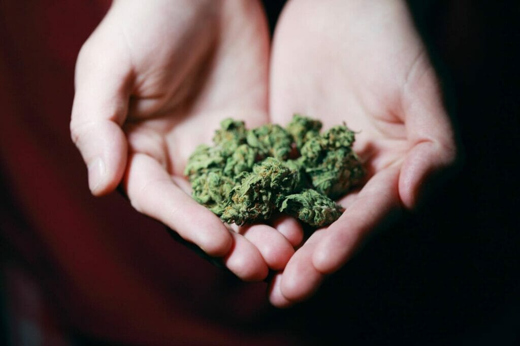 Best dispensary in canada | CannaBlossom Canada
