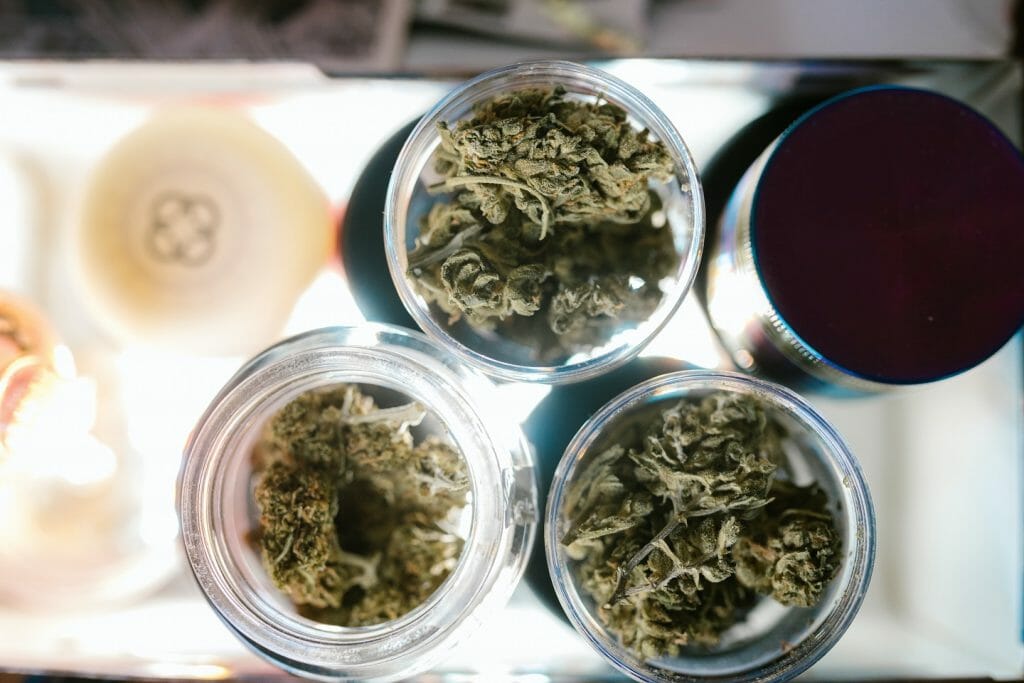 Best cannabis in Canada: Finding the Premium Hybrid Strains | CannaBlossom Canada | CannaBlossom Canada
