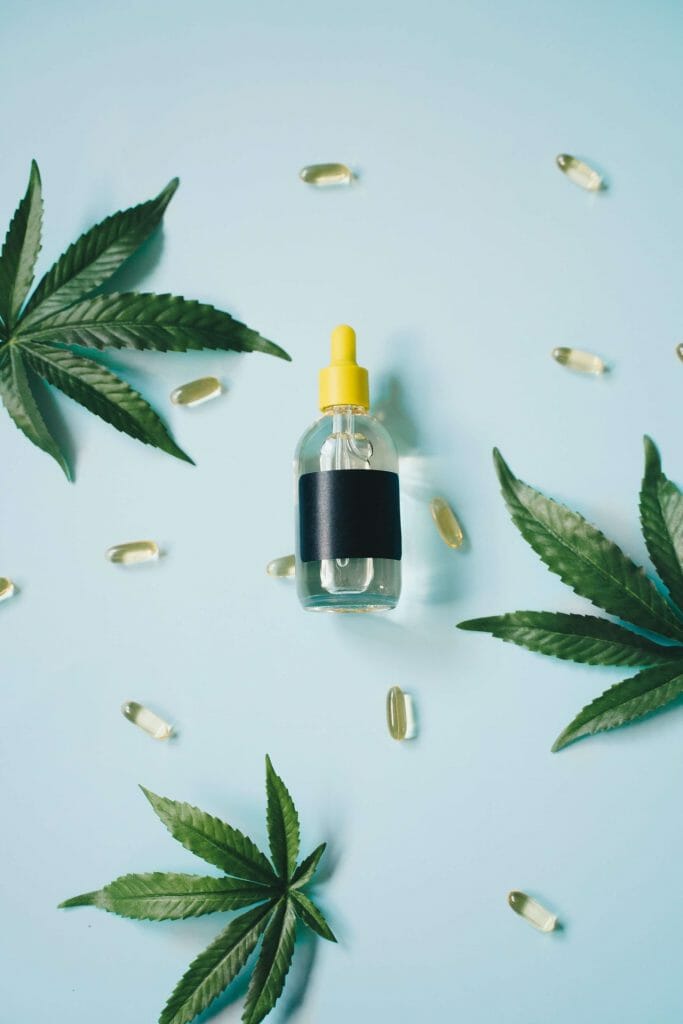 Cannabis Winnipeg Users: How cannabis Improves Focus | CannaBlossom Canada | CannaBlossom Canada