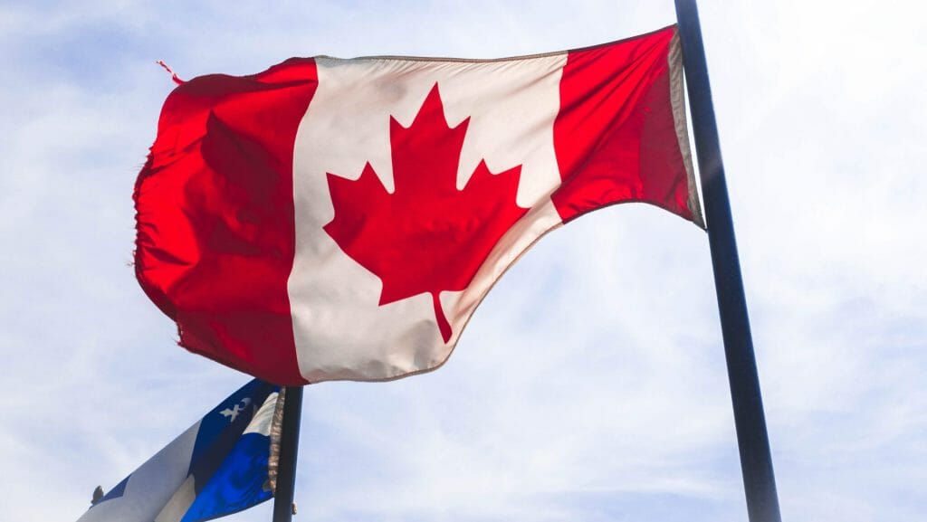 Cannabis Winnipeg Users: How cannabis Improves Focus | CannaBlossom Canada | CannaBlossom Canada