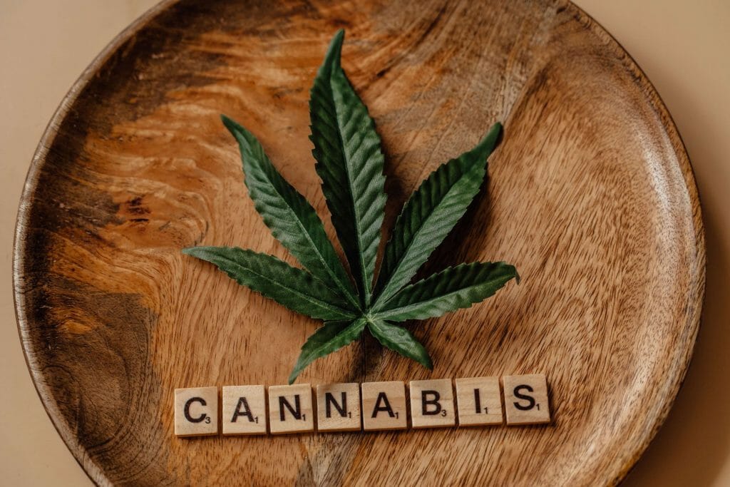 Beyond the Bud: The Role of a cannabis Dispensary in Promoting Wellness | CannaBlossom Canada | CannaBlossom Canada