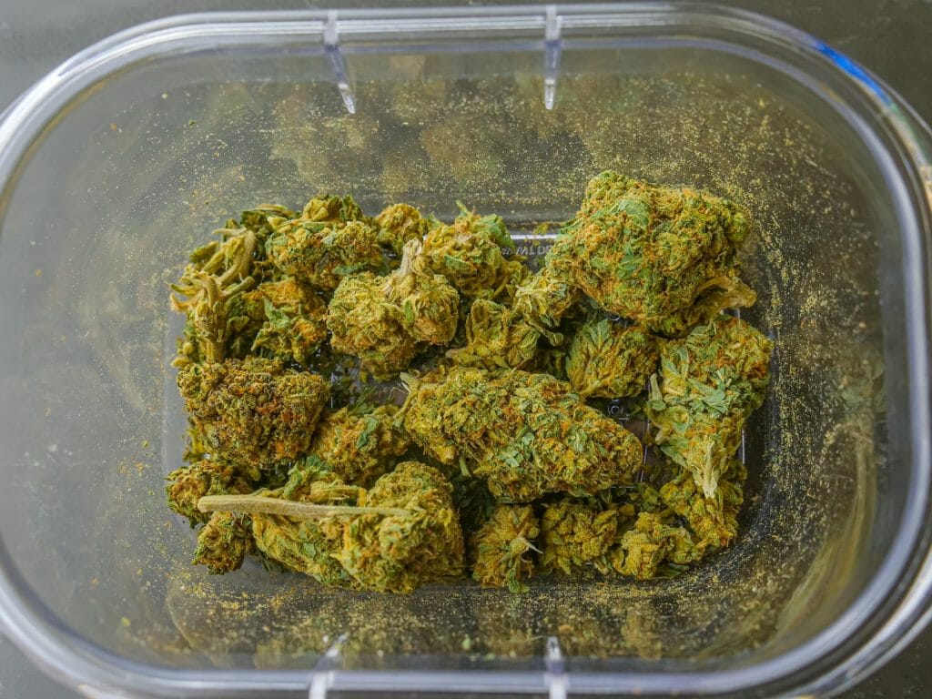 Best cannabis in Canada: Finding the Premium Hybrid Strains | CannaBlossom Canada | CannaBlossom Canada