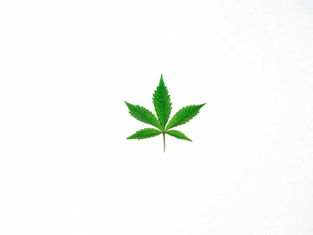 Benefits of Shopping in a BC cannabis Online Dispensary | CannaBlossom Canada