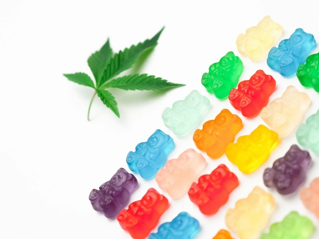 Edible Delights: A Guide to the Most Delicious cannabis in Edmonton | CannaBlossom Canada | CannaBlossom Canada