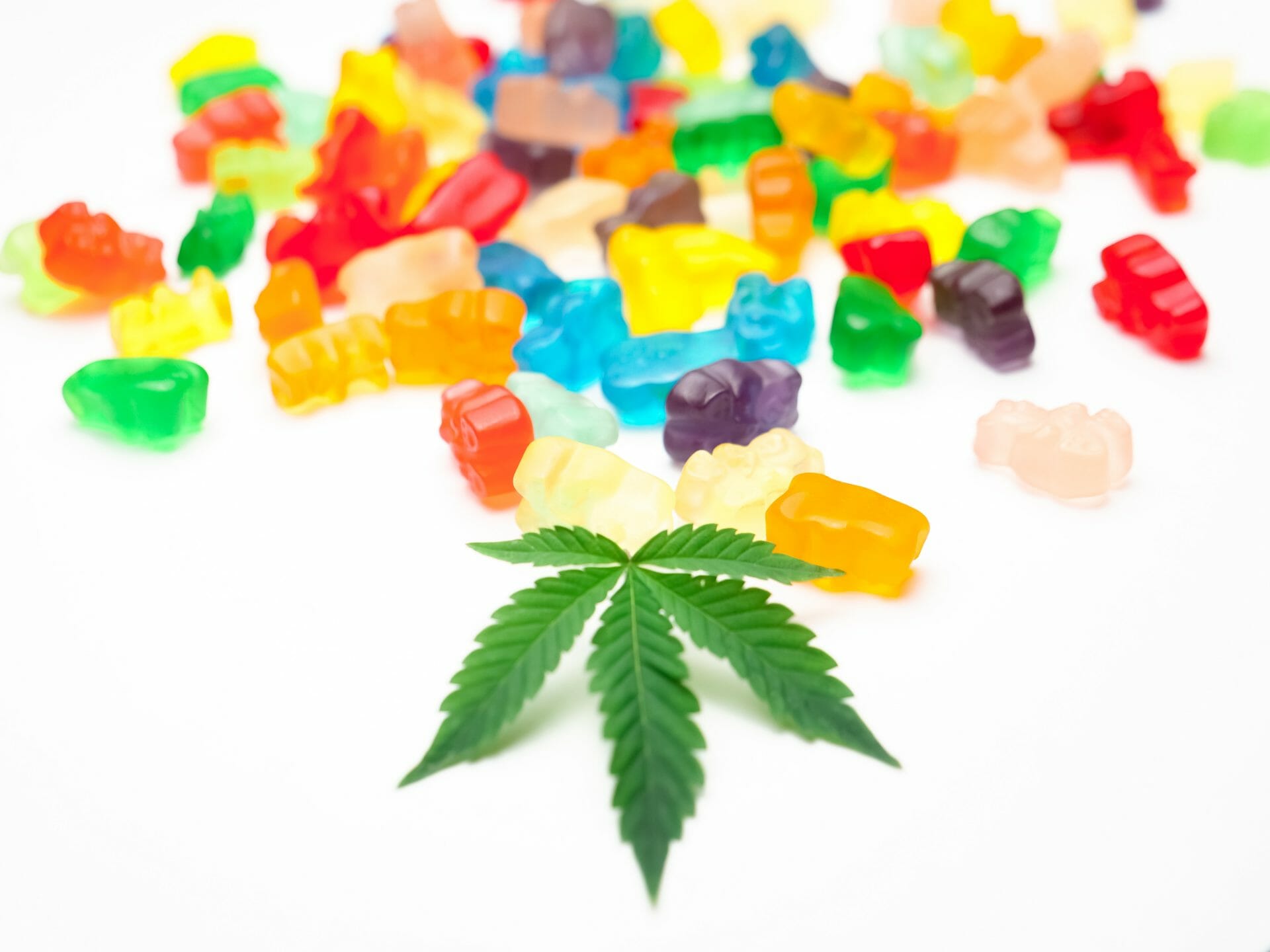 Weed Gummy | CannaBlossom Canada