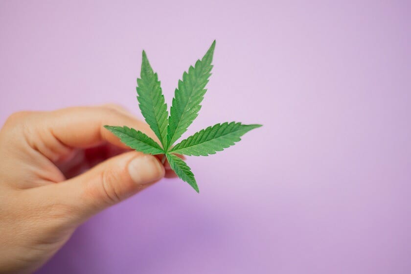 Discover How A cannabis Shop Helps You Better Understand Cannabis | CannaBlossom Canada | CannaBlossom Canada