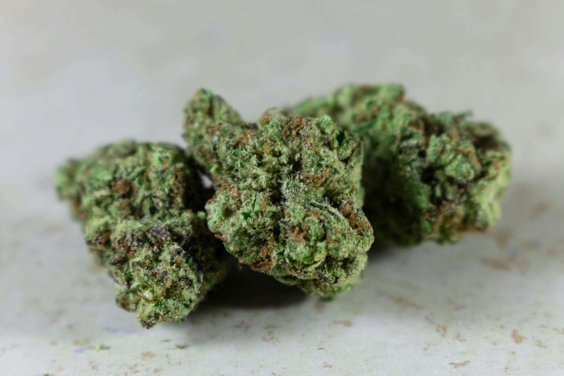 Best Indica Online in Canada | CannaBlossom Canada