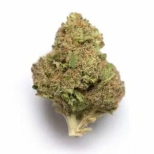 Supersonic | CannaBlossom Canada