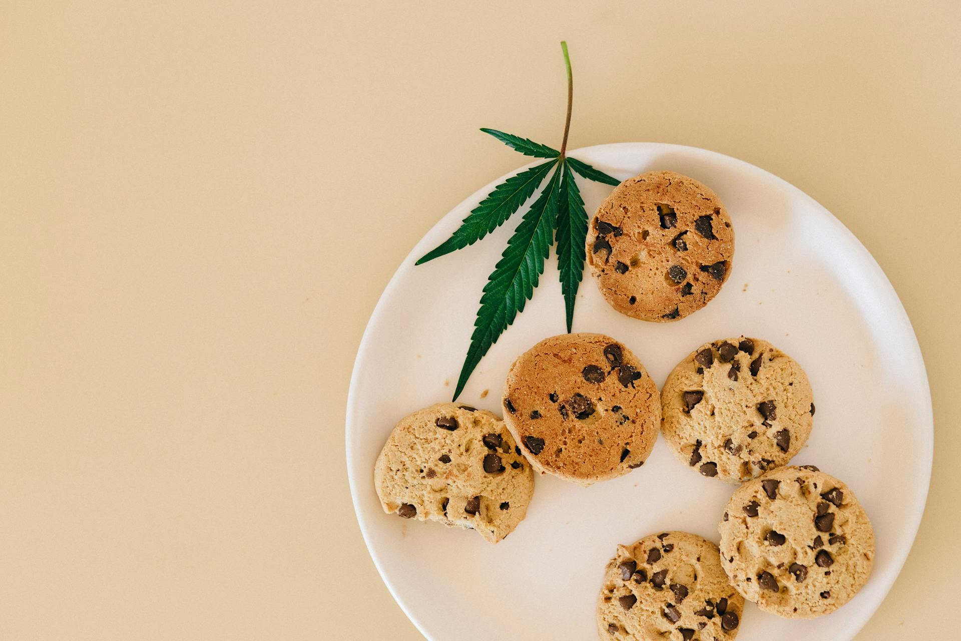 Edibles online at Canada | CannaBlossom Canada