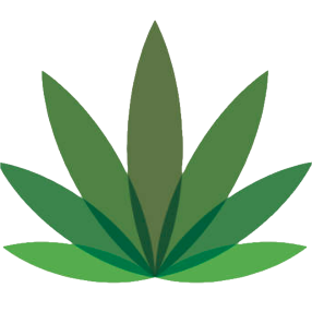 logo (1) - CannaBlossom Canada | CannaBlossom Canada